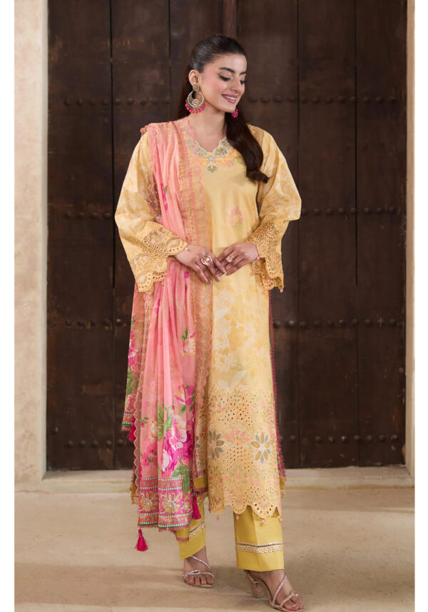 APPLIQUEKARI 3 Piece Unstitched Embroidered-05
